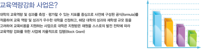 대학의 교육역량 및 성과를 측정·평가할 수 있는 지표를 중심으로 사전에 구성된 공식(formula)를 적용하여 교육 역량 및 성과가 우수한 대학을 선정하고, 해당 대학의 성과와 재학생 규모 등을 고려하여 교육비용을 지원하는 사업으로 대학은 지원받은 재원을 스스로의 발전 전략에 따라 교육역량 강화를 위한 사업에 자율적으로 집행(Block Grant)