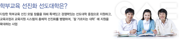 다양한 학부교육 선진 모델 창출을 위해 특색있고 경쟁력있는 선도대학 중점으로 지원하고, 교육과정과 교육지원 시스템의 총체적 선진화를 병행하여,'잘 가르치는 대학'에 지원을 확대하는 사업